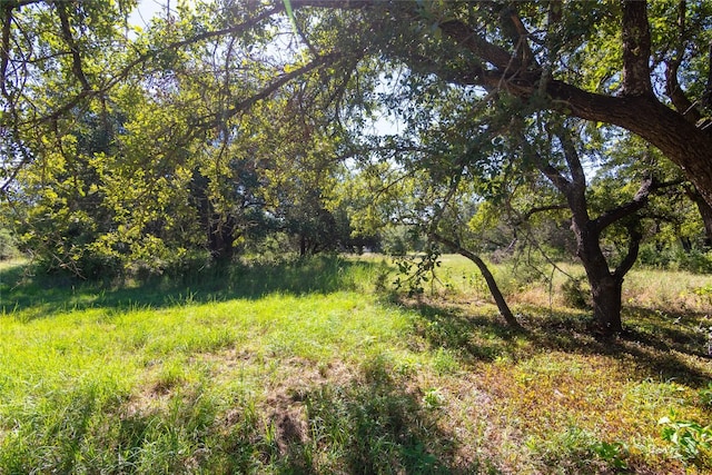 view of landscape