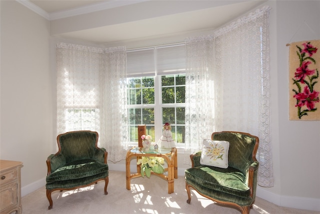 sitting room with crown molding and carpet floors