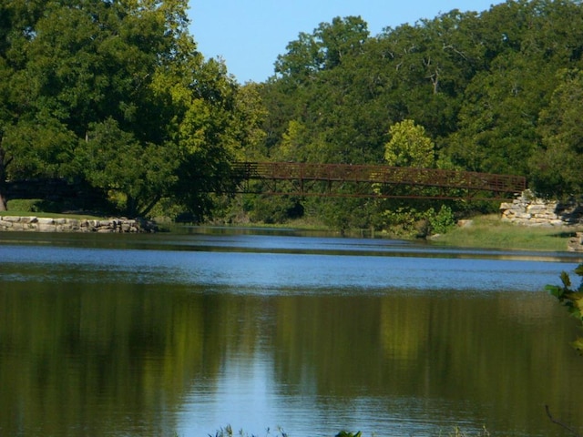 411 Palmetto Dr, Georgetown, TX 78633 - water view with a forest