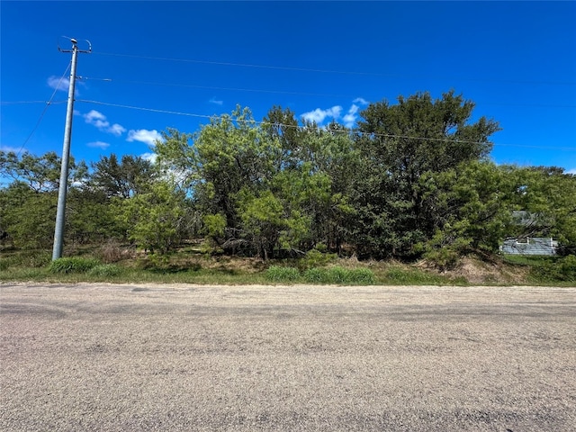 302 Lamaloa Ln, Bastrop TX, 78602 land for sale