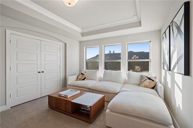 living room featuring light colored carpet and a tray ceiling