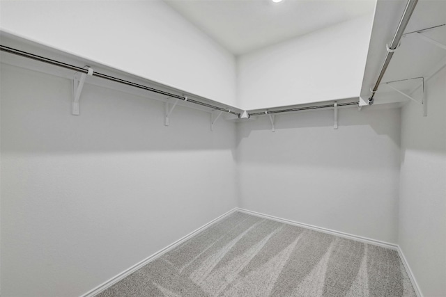 spacious closet featuring carpet floors