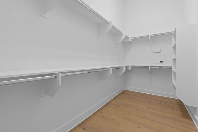 spacious closet featuring light wood-type flooring