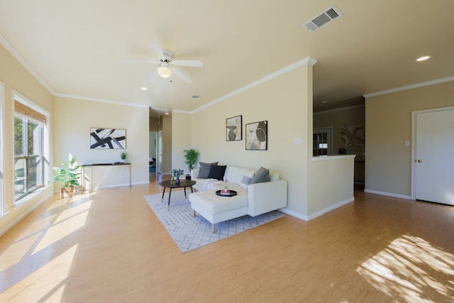 living room with ceiling fan, ornamental molding, and light wood-type flooring