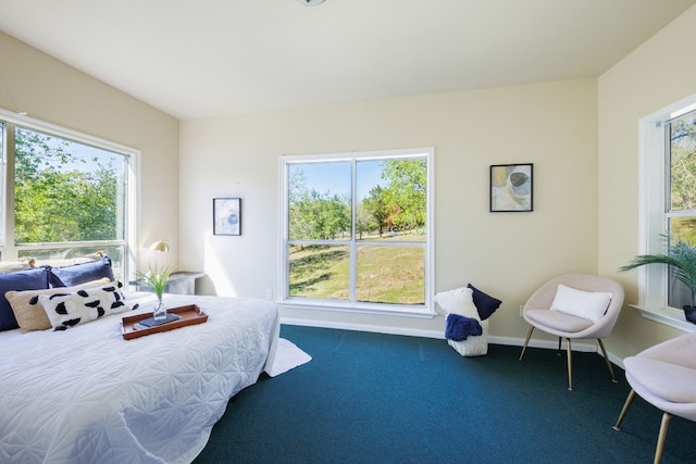 carpeted bedroom with multiple windows