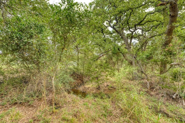 512 Flintstone, Horseshoe Bay, TX 78657 - photo 20