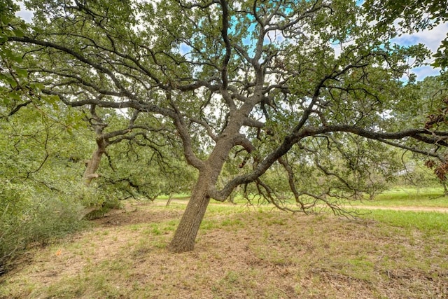 512 Flintstone, Horseshoe Bay, TX 78657 - photo 22