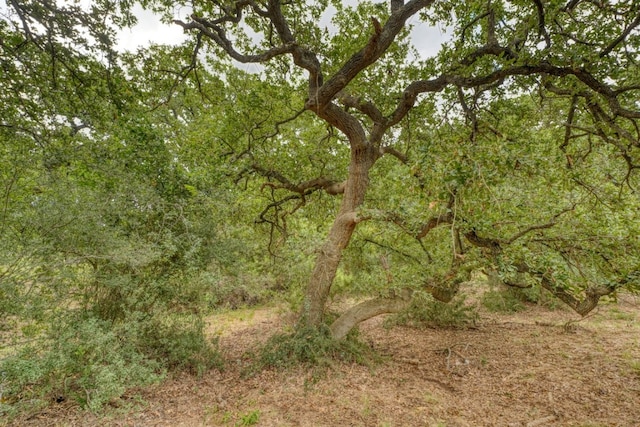 512 Flintstone, Horseshoe Bay, TX 78657 - photo 23