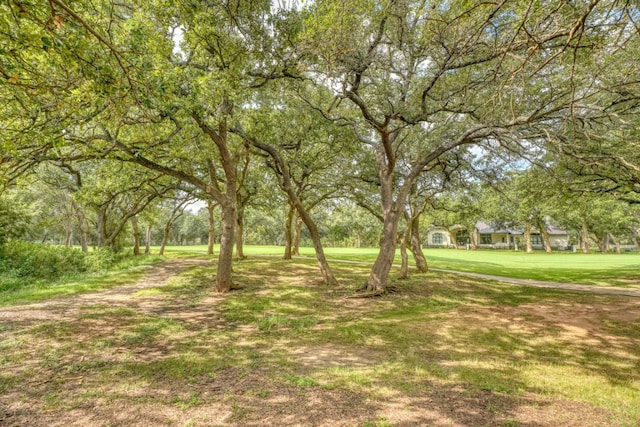512 Flintstone, Horseshoe Bay, TX 78657 - photo 9
