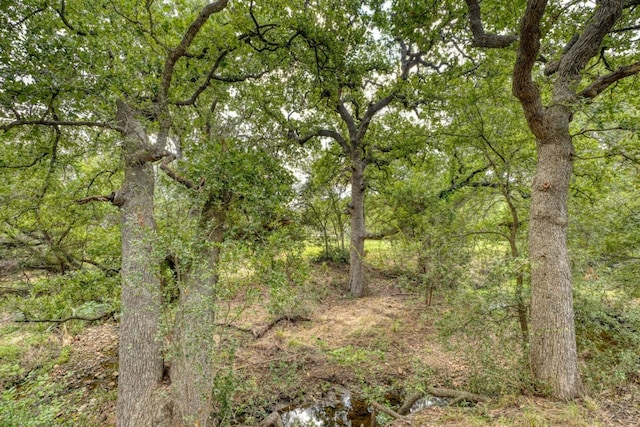 512 Flintstone, Horseshoe Bay, TX 78657 - photo 16