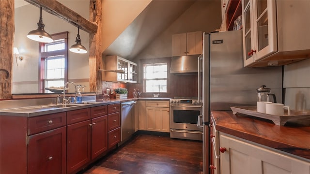 kitchen featuring appliances with stainless steel finishes, decorative light fixtures, sink, and plenty of natural light