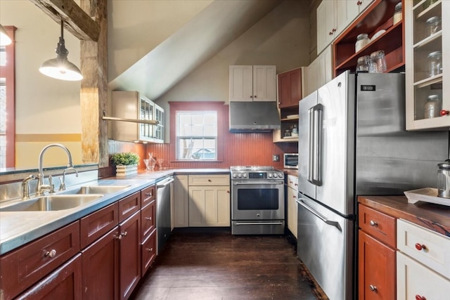 kitchen featuring hanging light fixtures, dark hardwood / wood-style flooring, appliances with stainless steel finishes, sink, and ventilation hood