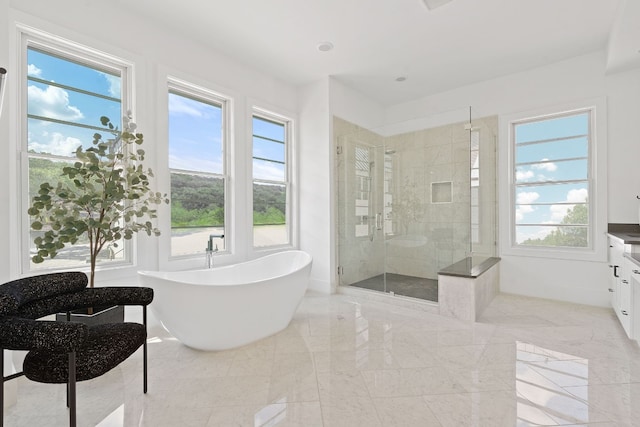 bathroom featuring plus walk in shower, a wealth of natural light, and vanity