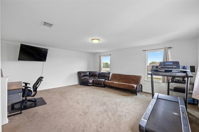 home office featuring carpet floors