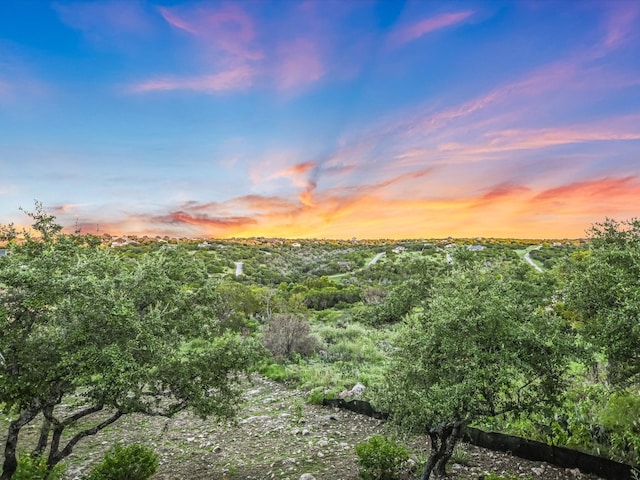 view of nature at dusk