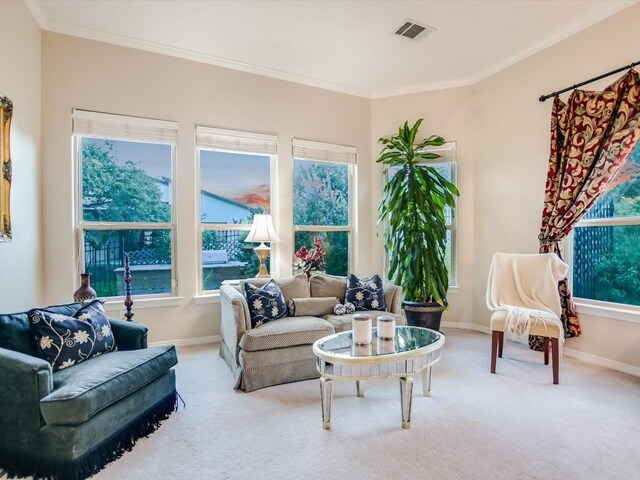 717 Fallow, Horseshoe Bay, TX 78657 - living room with carpet flooring, crown molding, and plenty of natural light
