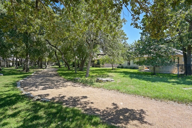 view of community with a lawn