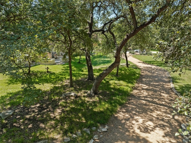 view of home's community featuring a yard