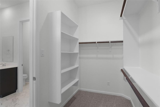 spacious closet with light colored carpet