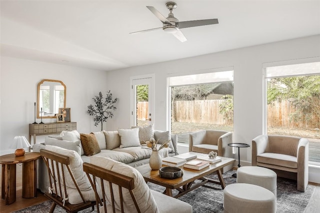 living room with ceiling fan and wood-type flooring