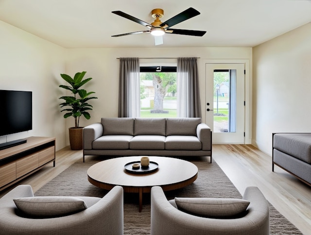 living room with ceiling fan and light hardwood / wood-style floors