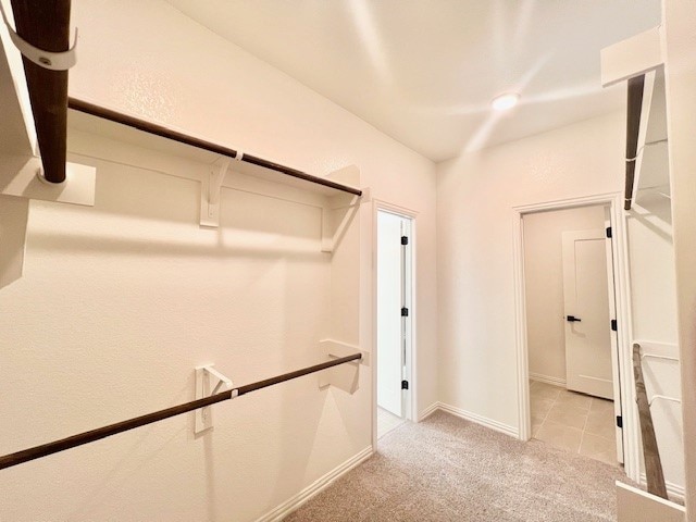 walk in closet with light colored carpet