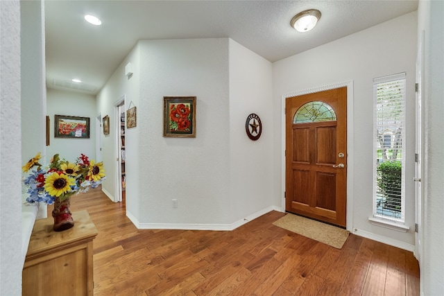 foyer featuring a wealth of natural light and wood-type flooring