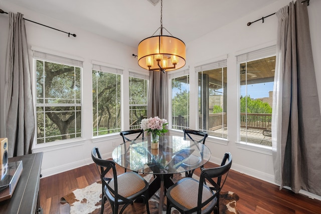 dining space featuring dark wood-type flooring