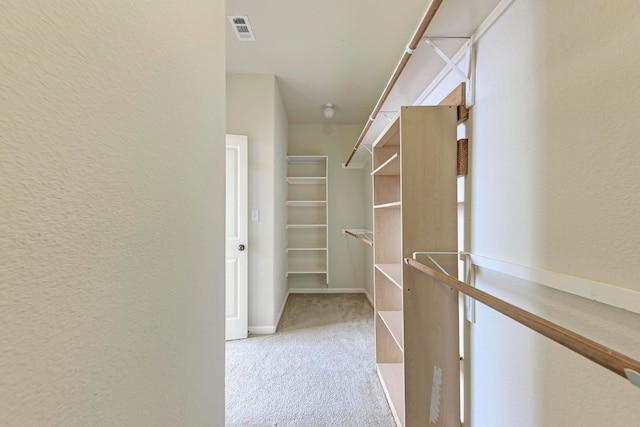 spacious closet with light carpet