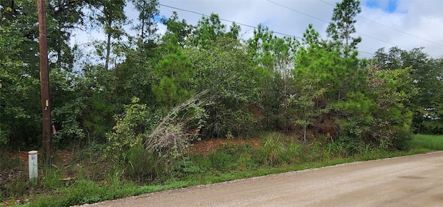 Listing photo 3 for TBD Makaha Dr, Bastrop TX 78602