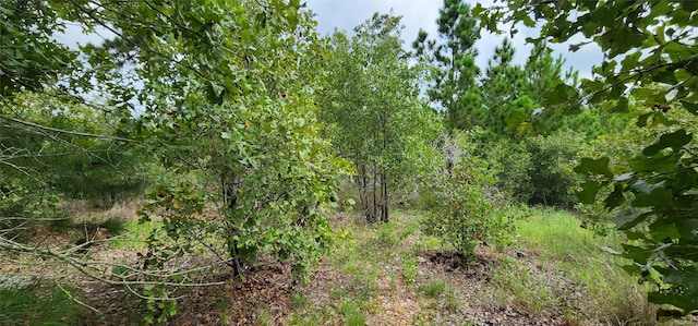 Listing photo 2 for TBD Makaha Dr, Bastrop TX 78602