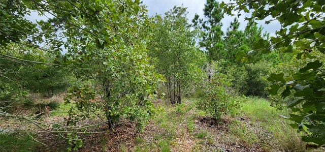TBD Makaha Dr, Bastrop, TX 78602