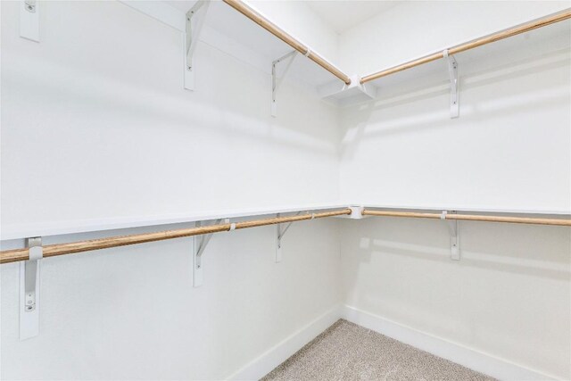 walk in closet featuring carpet