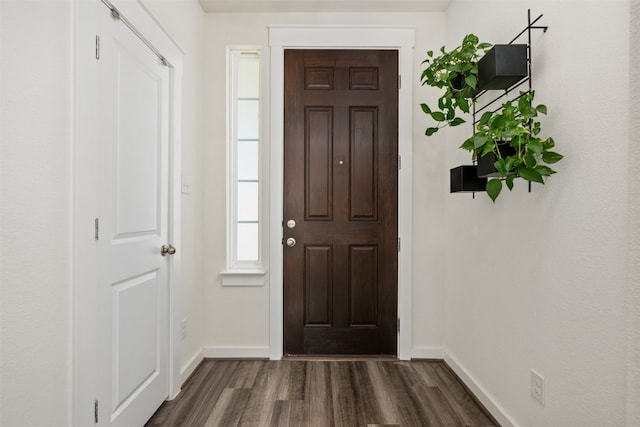 entrance foyer featuring dark hardwood / wood-style flooring