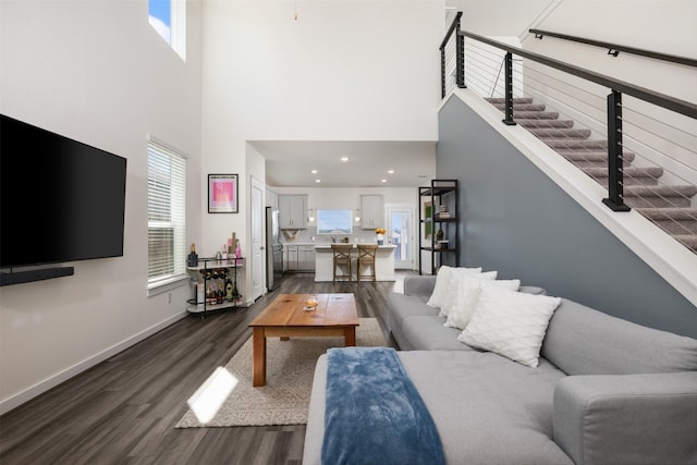 living room featuring a high ceiling and dark hardwood / wood-style floors