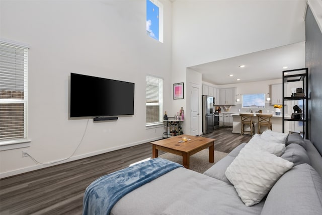 living room with a high ceiling and dark wood-type flooring