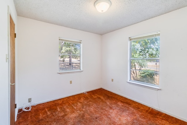 empty room with carpet floors, a textured ceiling, and plenty of natural light