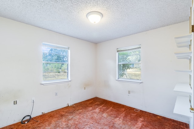 empty room featuring a textured ceiling and carpet flooring