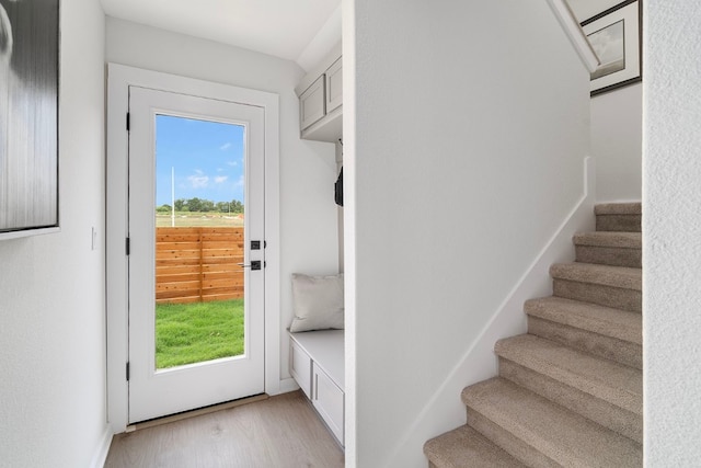 entryway featuring a wealth of natural light and light hardwood / wood-style flooring