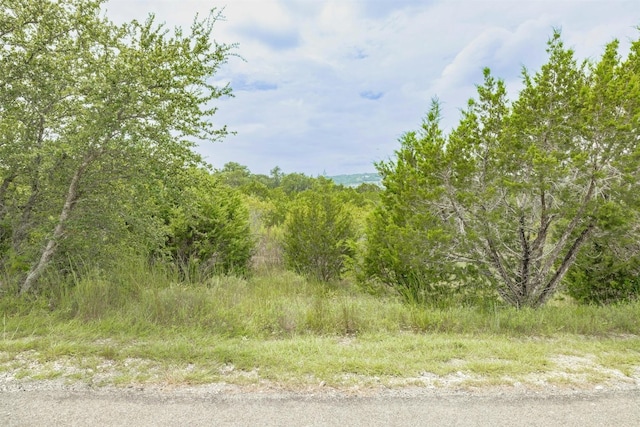 120 Grey Fox Ln, Bertram, TX 78605