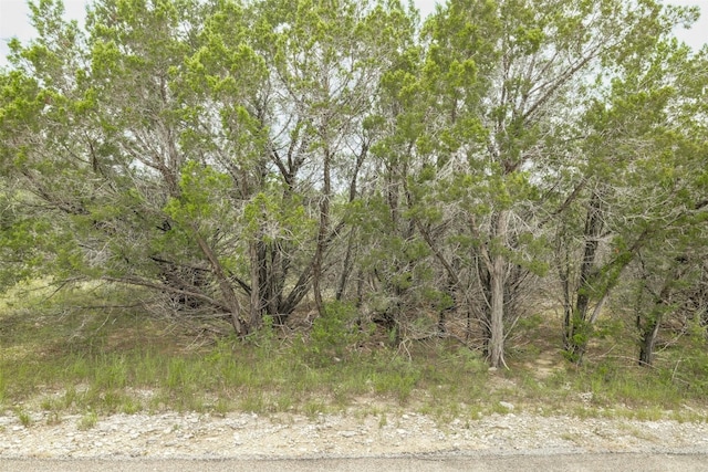 120 Grey Fox Ln, Bertram, TX 78605