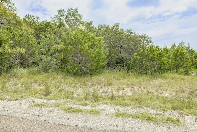 120 Grey Fox Ln, Bertram, TX 78605