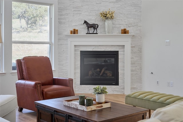 living room with hardwood / wood-style flooring, a stone fireplace, and plenty of natural light