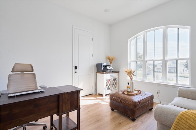 office featuring light hardwood / wood-style flooring