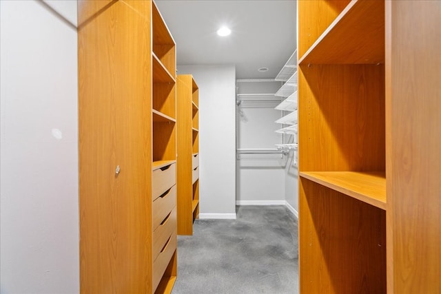 spacious closet with dark carpet