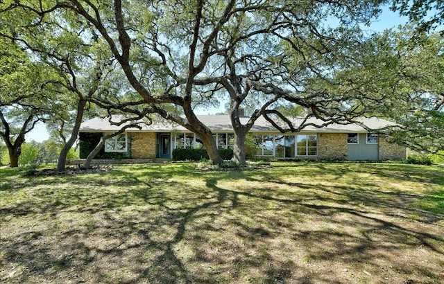 ranch-style house featuring a front yard