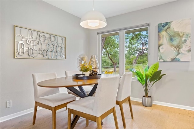 dining room featuring wood-type flooring