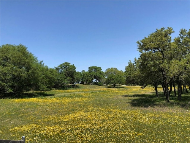 view of local wilderness with a rural view