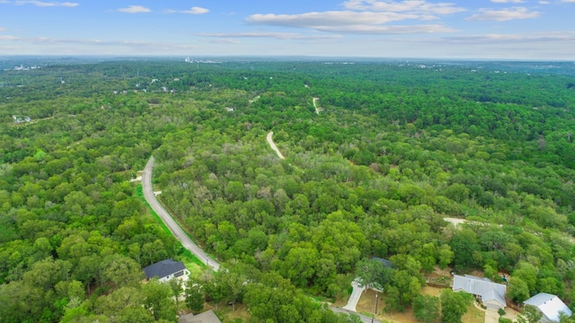 207 Heleakala Dr, Bastrop TX, 78602 land for sale