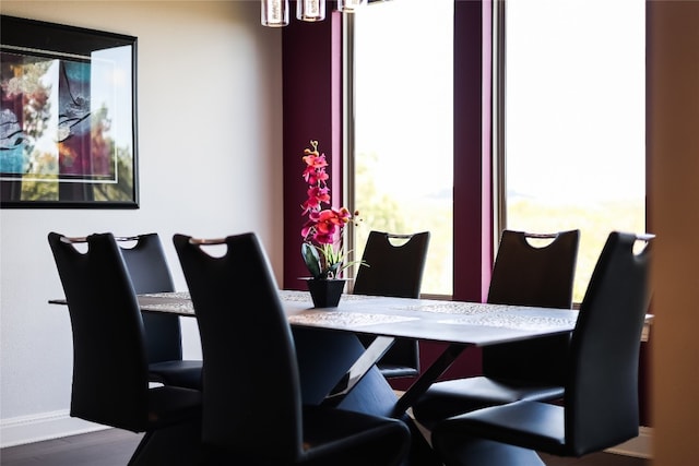 dining space featuring wood-type flooring